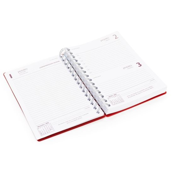 Agenda Diária 2027
