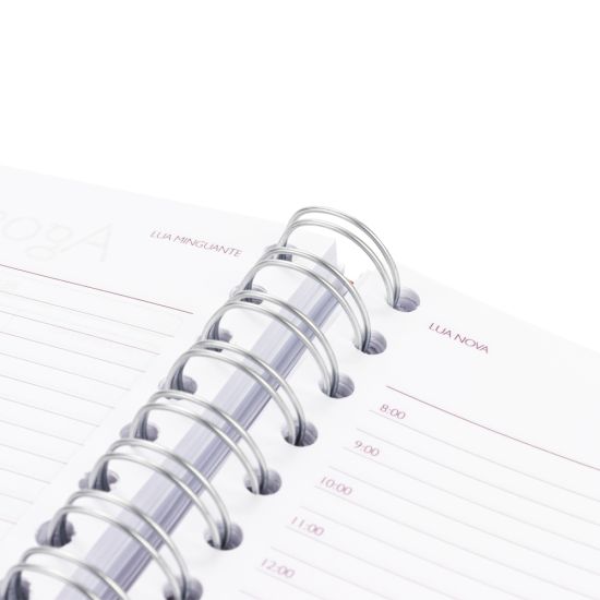 Agenda Diária 2027