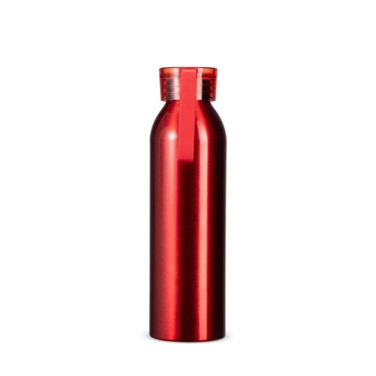 Garrafa Alumínio 650ml