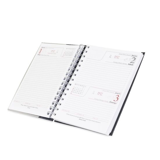Agenda Diária 2027