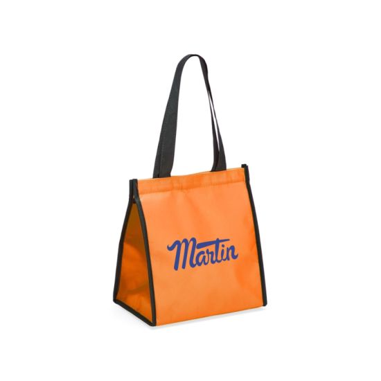 Bolsa Térmica 6 Litros
