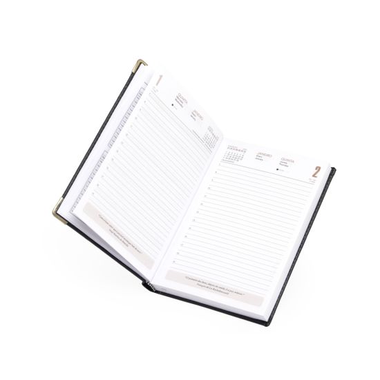 Agenda Diária 2026