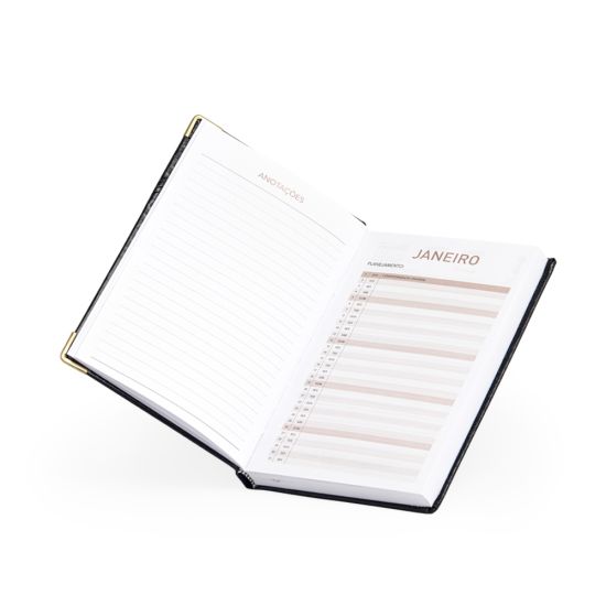 Agenda Diária 2026