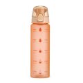 Garrafa Plástica 700ml