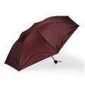 Guarda-Chuva Manual
