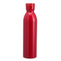 Garrafa Térmica 950ml