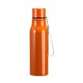 Garrafa Inox 750ml