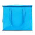 Bolsa Térmica 40L